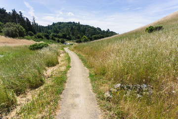 Fototapeta na wymiar Empty dirt hiking trail in the hills of northern california near San Francisco