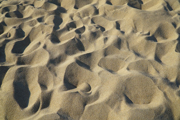 sand beach background