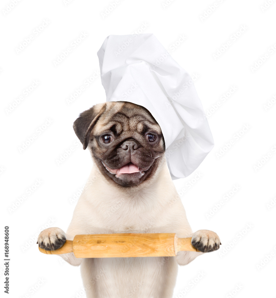 Poster funny dog in chef's hat with a rolling pin. isolated on white background
