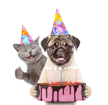 Funny puppy and kitten in party hats holding birthday cake with many burning candles. isolated on white background