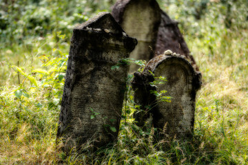 Old abandoned Jewish cemetery. (Blurred effect Illustration)