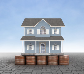 House on pile of coins,money