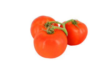 Tomatoes