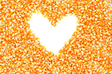Dry corn kernels are heart on a white background.