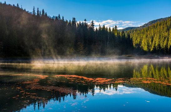 fog rise from the forest lake in mountains