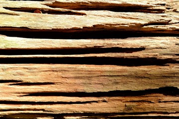 Old Wood Texture with Light Beam Background.
