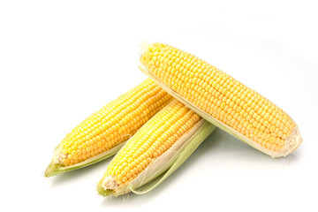 Maize