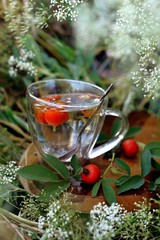 Tea with rosehip