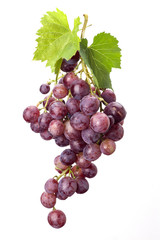 grape