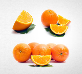 orange or collection orange on a background.