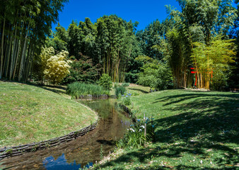 Jardin Japonais.