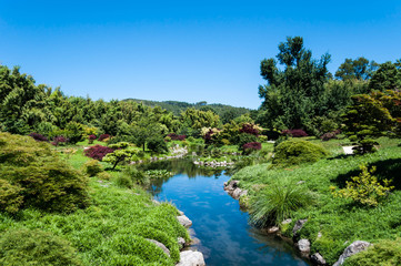 Fototapeta na wymiar Jardin Japonais.