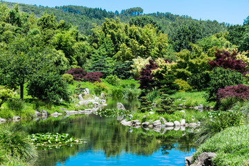 Jardin Japonais.