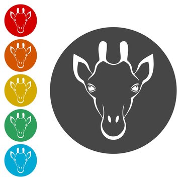 Giraffe face, flat animal face icons set 