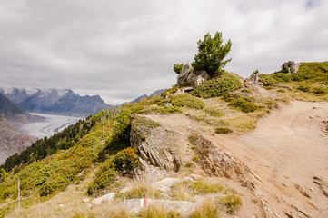 Riederalp, Moosfluh, Hohfluh, Aletsch, Aletschgletscher, Gletscher, Alpen, Wanderweg, Höhenweg, Wallis, Sommer, Herbst, Schweiz