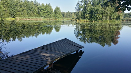 Paprocany © Dariusz Pokus