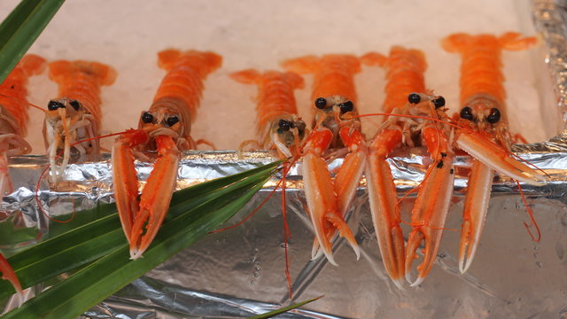 shrimps at parisian market