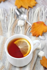Cup of hot tea with lemon and woolen scarf