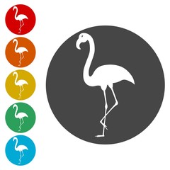 Flamingo icons set - Illustration 