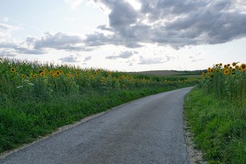 Wiese in Emmingen-Liptingen im Landkreis Tuttlingen
