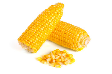 ear of corn isolated on a white background