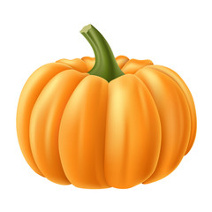 Isolated, realistic pumpkin for autumn and Halloween. Realistic vector illustration. - 168966076