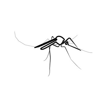 Mosquito black color icon .
