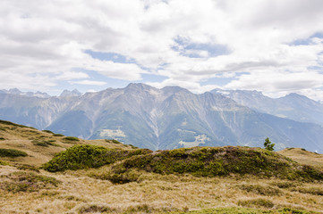 Fototapeta premium Riederalp, Riederfurka, Moosfluh, Aletsch, Höhenweg, Wanderweg, Walliser Berge, Alpen, Blättlihorn, Hillehorn, Sommer, Schweiz