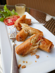 Deep fried spring rolls