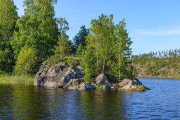 Stony cape, overgrown with birches. Ladoga lake skerries, Pitkyaranta, Karelia.