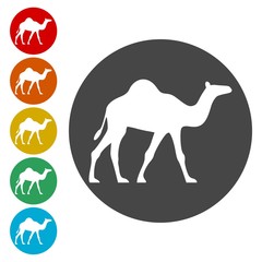Camel silhouette vector icons set - Illustration 