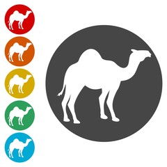 Camel silhouette vector icons set - Illustration 