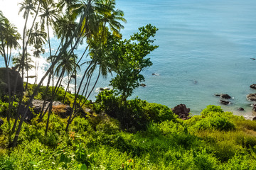 Cliffs, Trees and Sea Green Waters of South Goa, India