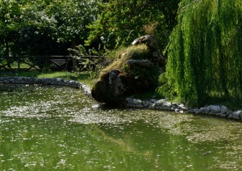 natura