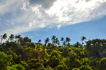 Cliffs, Trees and Sea Green Waters of South Goa, India