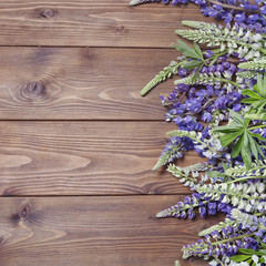 Brown wooden background with lupine flowers