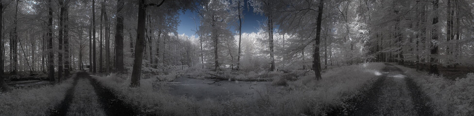 Infrarot - Infrared - Schleswig Holstein - Deutschland