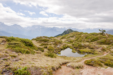 Riederalp, Riederfurka, Moosfluh, Hohfluh, Wanderweg, Höhenweg, Panoramaweg, Wallis, Alpen, Walliser Berge, Simplon, Aletsch, Sommer, Schweiz