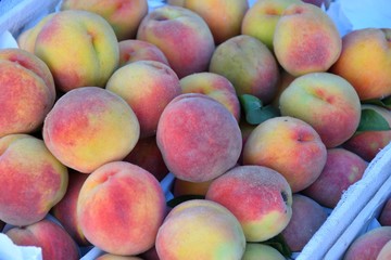 Fresh and ripe peaches