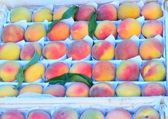 Fresh and ripe peaches
