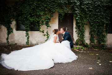 Fabulous wedding couple sitting next to the old wall with ivy and holding hands.