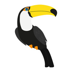 Toucan the bird isolated on the white background © papygai4ik