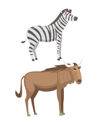 African animals cartoon vector set. zebra, safari isolated illustration