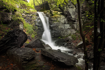 Waterfall Forest Scene with Moss Rocks