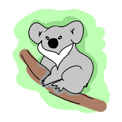 Koala on a branch on white background, vector illustration