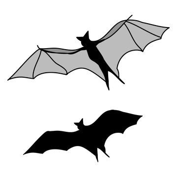 bat silhouette on white background, vector illustration