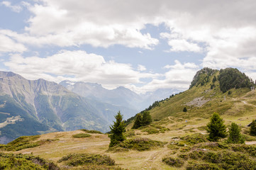 Naklejka premium Riederalp, Riederfurka, Aletsch, Aletschwald, Rhonetal, Simplon, Simplonpass, Wanderweg, Höhenweg, Moosfluh, Wallis, Alpen, Walliser Berge, Sommer, Schweiz