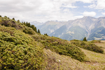Riederalp, Riederfurka, Moosfluh, Höhenweg, Aletsch, Aletschwald, Wallis, Wallliser Berge, Alpen, Rhonetal, Simplon, Wanderweg, Sommer, Schweiz