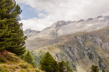 Riederalp, Riederfurka, Moosfluh, Höhenweg, Aletsch, Aletschwald, Aletschgletscher, Alpen, Wallis, Wanderweg, Blatten, Belalp, Sommer, Schweiz