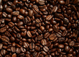 Coffee beans close-up